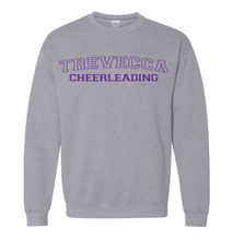 Load image into Gallery viewer, YOUTH Trevecca Cheer Crewneck - Other Color Options Available