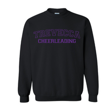 Load image into Gallery viewer, YOUTH Trevecca Cheer Crewneck - Other Color Options Available
